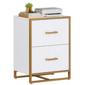 Horizontaler Aktenschrank mit 2 Schubladen und goldenem Gestell