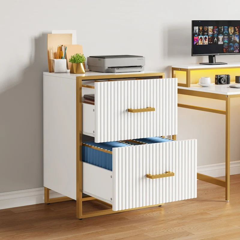 Moasis 2 Drawer File Cabinet with Gold Frame Filing Cabinet for Letter Size Printer Stand