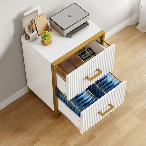 2-Drawer Horizontal File Cabinet with Gold Frame