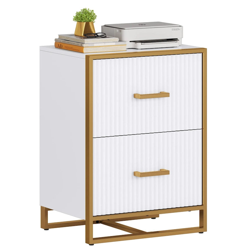 Horizontaler Aktenschrank mit 2 Schubladen und goldenem Gestell