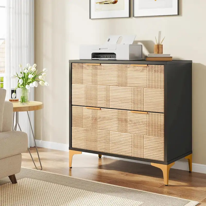 2-Drawer Lateral Filing Cabinet with Adjustable Hanging Bar