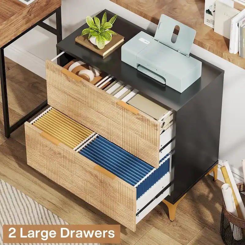 2-Drawer Lateral Filing Cabinet with Adjustable Hanging Bar