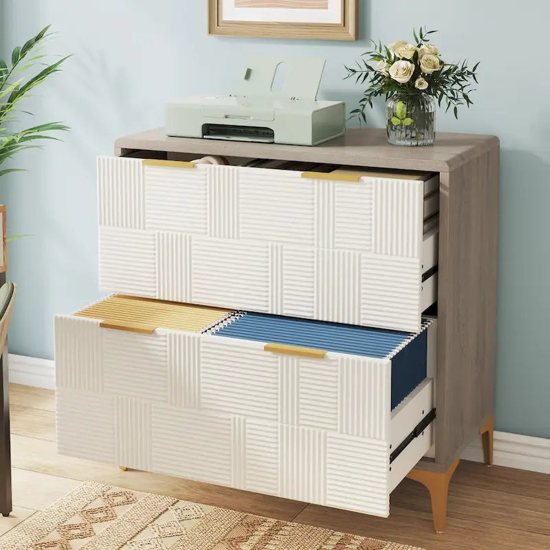 2-Drawer Lateral Filing Cabinet with Adjustable Hanging Bar